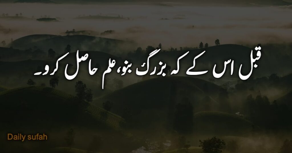 Best 32+ Aqwal e Zareen in urdu - Golden words in urdu text